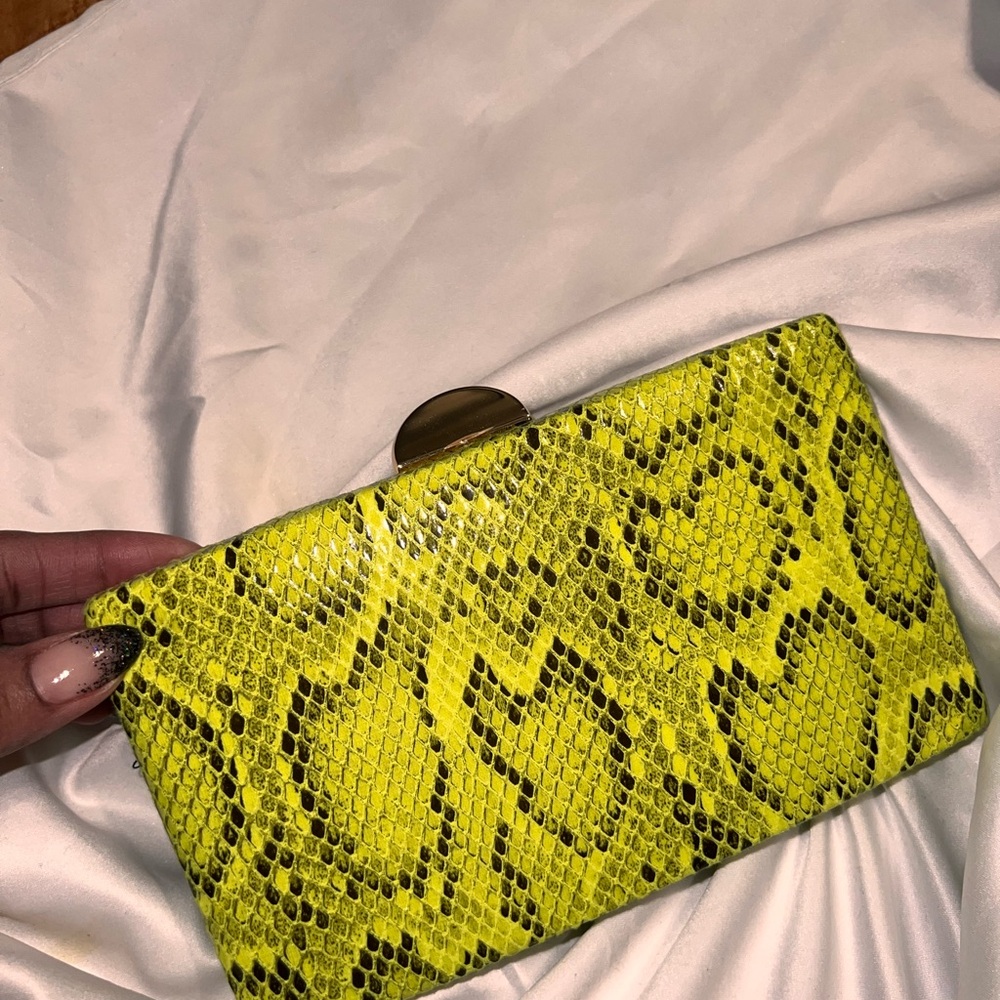 Snake Print Clutch